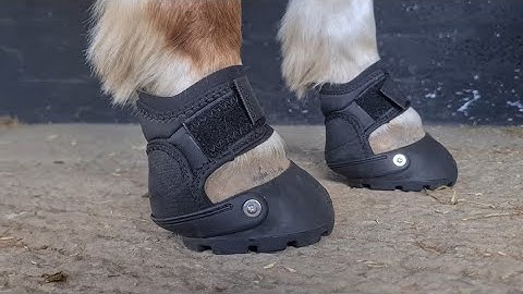 Special delivery...Easy Boot Glove Soft