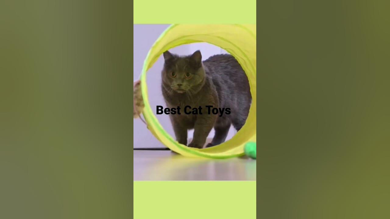 The 11 Best Cat Toys of 2023 That Your Cat Will Love cattoys cats 