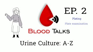 Urine Culture: A-Z | EP.2 Plating urine for culture and Plate examination