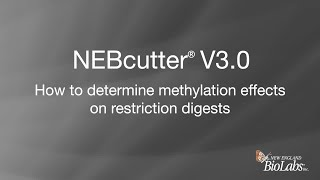 NEBcutter® V3.0 - How to determine methylation effects on restriction digests