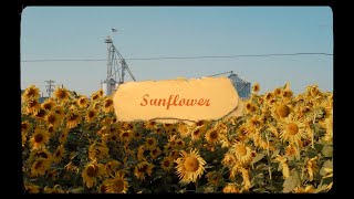 Sunflower - Pauline Zoe Park [ Lyric Video]
