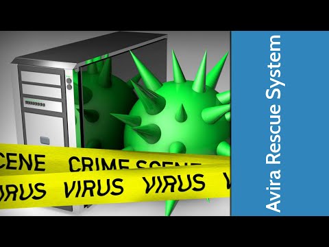 Vídeo: Quins Signes Mostraran Una Infecció Per PC