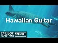 Hawaiian guitar hawaiian cafe music aloha  instrumental music with beautiful ocean scenery