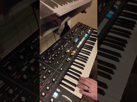 #beatober Day 7. First Light #moogmuse #moog