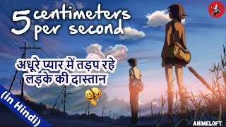 "5 Centimeters Per Second" EXPLAINED in Hindi || Byôsoku 5 senchimêtoru Makoto Shinkai's Anime