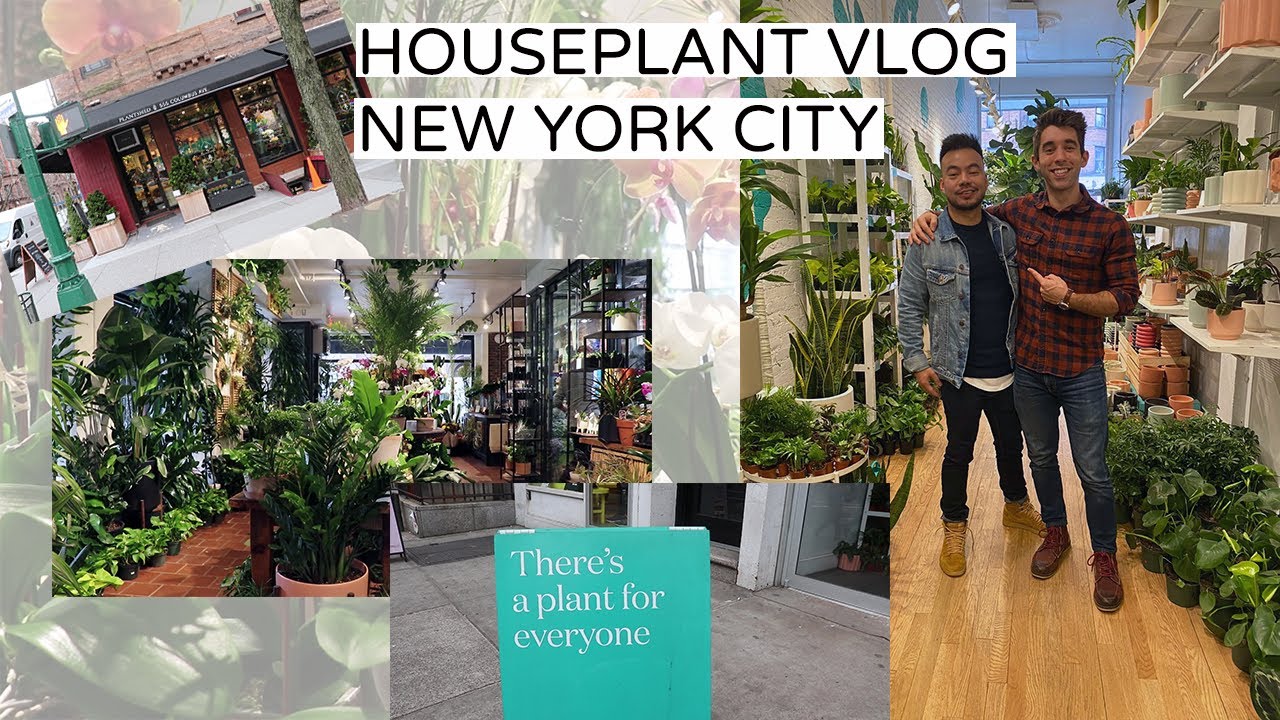 Houseplant Vlog | Plant Shopping In New York City