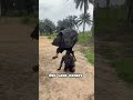 #fyppppppppppppppppppppppp #funny