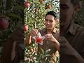 stranging strawberry tree 🍓#aishorts #fruit #smr