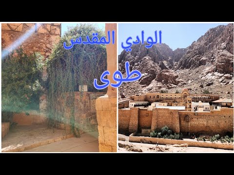 لو بتفكر تروح سانت كاترين و جبل الطور لازم تشوف الفيديو ده     