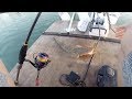 the search for a monster flathead ep 2