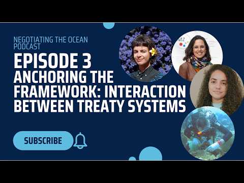 Episode 3: Anchoring the Framework: Interaction between Treaty Systems