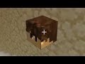 FoolishG gets Wilbur Soot's Head - Dream SMP