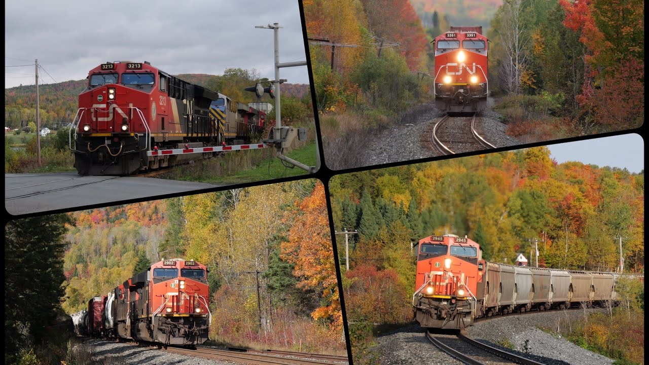 4 Train Day on CN's Pelletier Subdivision 9/28/25