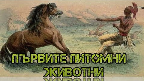 Първите опитомени животни!