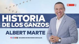 Albert Marte - Historia de los Ganzos