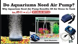 Do Aquariums Need Air Pumps Do bubbles supply oxygen in aquarium Kya air pump zaroori Hai