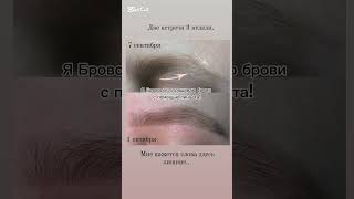 Как отрастить брови? Отращиваю брови без❌химии Новая услуга для натуральных бровей!Модные брови!