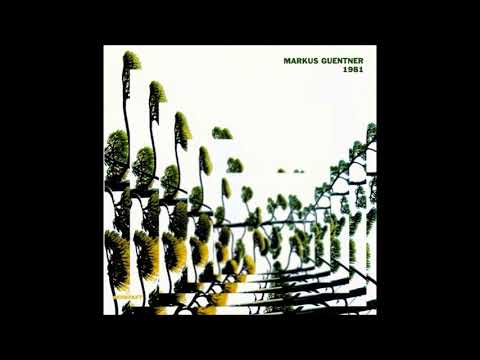 Watch Markus Guentner - 1981 ( full album ) on YouTube