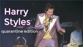 harry styles clips that help you survive quarantine