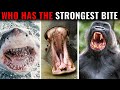 BIGGEST And STRONGEST Animal Bite Forces!