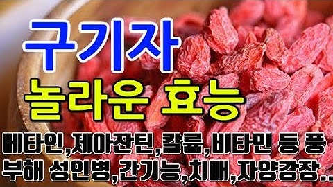 [#구기자효과] 구기자의 놀라운 효능 8가지 (베타인, 제아잔틴, 칼륨, 비타민 등이 풍부해 성인병, 간기능, 치매, 자양강장 등에 효과적입니다.)