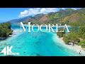 Moorea Island 4K - Peaceful Relaxing Music - Beautiful Drone Footage of Moorea