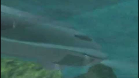 Voyage to the Bottom of the Sea- Seaview Movie