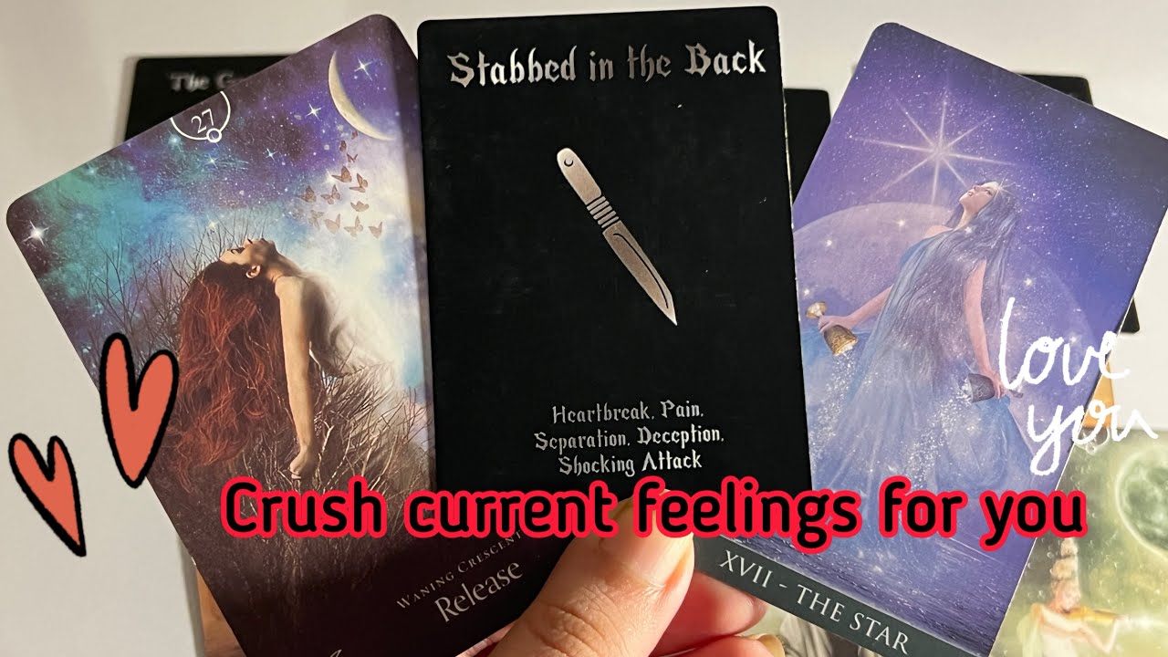 Crush Current Feelings for you ️‍🔥 Crush current feelings | Hindi tarot ...