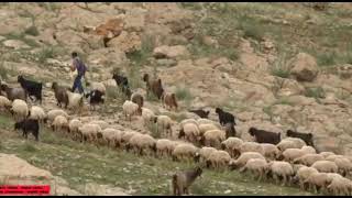 Xeribiyé)Söz Müzik Hozan Dılgeş Ay)(Diné)Söz Metin Ay:müzik Hozan Dılgeş Ay... Resimi