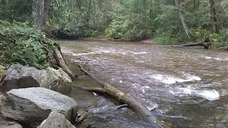 Fishing and Exploring Pisgah National Forest