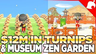 12 Million Bells in the Stalk Market & Finish the Museum Zen Garden in Animal Crossing new Horizons