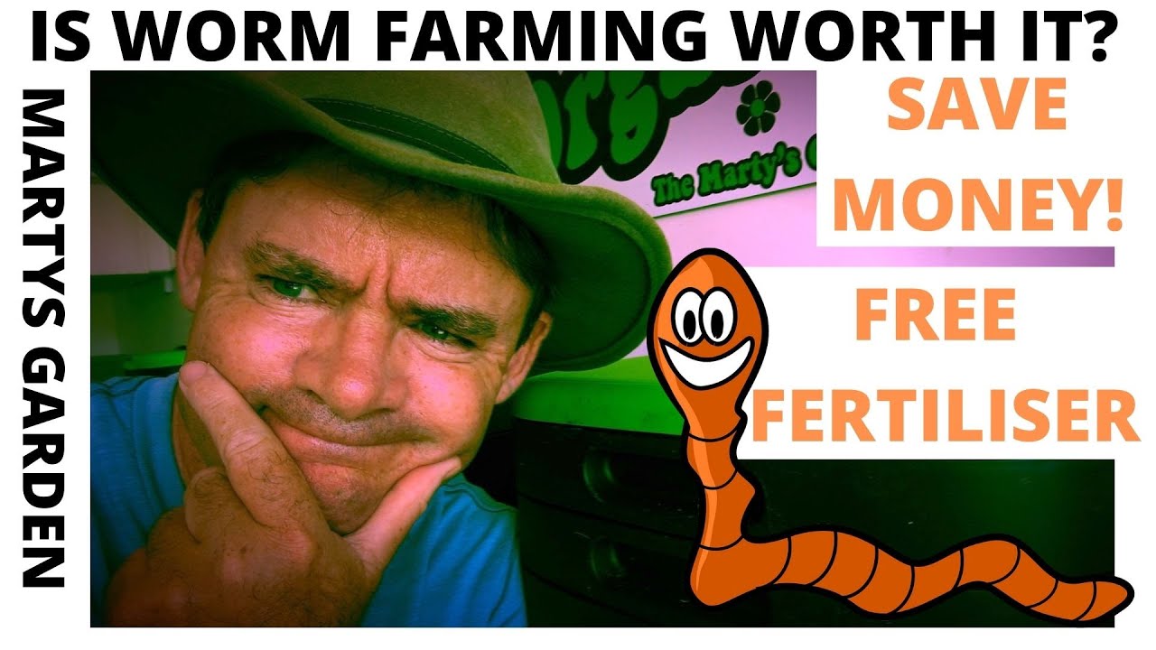 Are Worm Farms Worth It?
