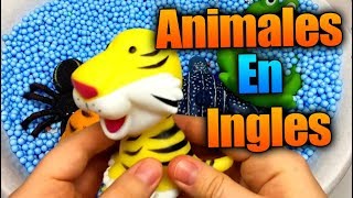 Aprende Los Animales en Ingles - - aprendiendo inglés con animales | niños genios