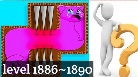 Puzzle Cats - level 1886~1890 Solve 