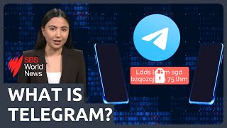 Telegram founder in French custody as part of cybercrime inquiry