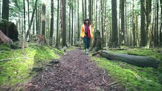 Cat Goes on a Forest Walk by Suki Cat 11,940 views 6 years ago 1 minute, 27 seconds