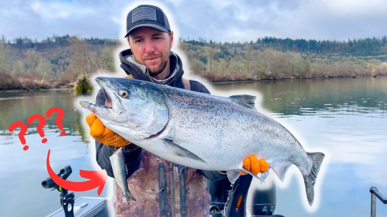 DO NOT go SALMON FISHING without watching THIS! (Cut Plug