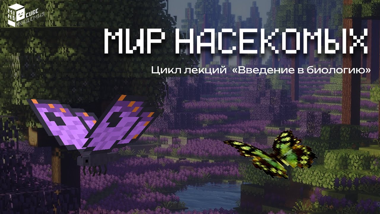 Мир насекомых | Лекция по биологии в Minecraft | MindCube Академия