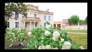 Urgent Job @ The PASSION PROJECT Before Our FIRST Guests Arrive!! by Bordeaux Life 6,912 views 3 hours ago 32 minutes