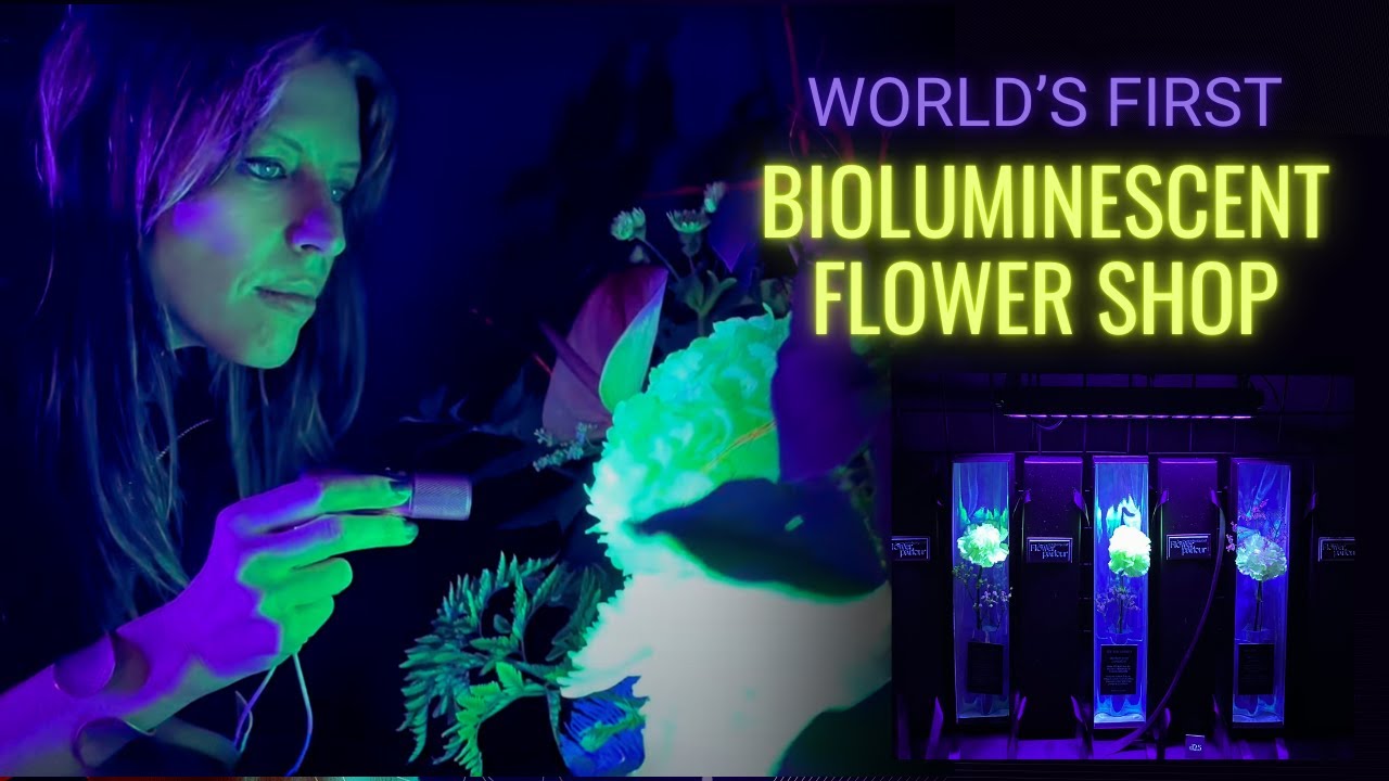 The World's First Bioluminescent Flower Shop By Bumps and Parr Studio