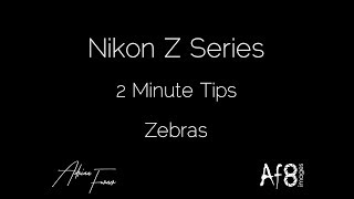 NIKON Z SERIES - 2 MINUTE TIPS #6 = highlight zebras on the nikon z6 & nikon z7