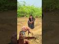 🚩जय श्री कृष्ण 🙏🚩#shortvideo #trending #viralvideo #shorts #kirani #kirankidilkikalamse