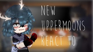 New Uppermoons React To   ||Demon King Tanjiro AU|| 😈