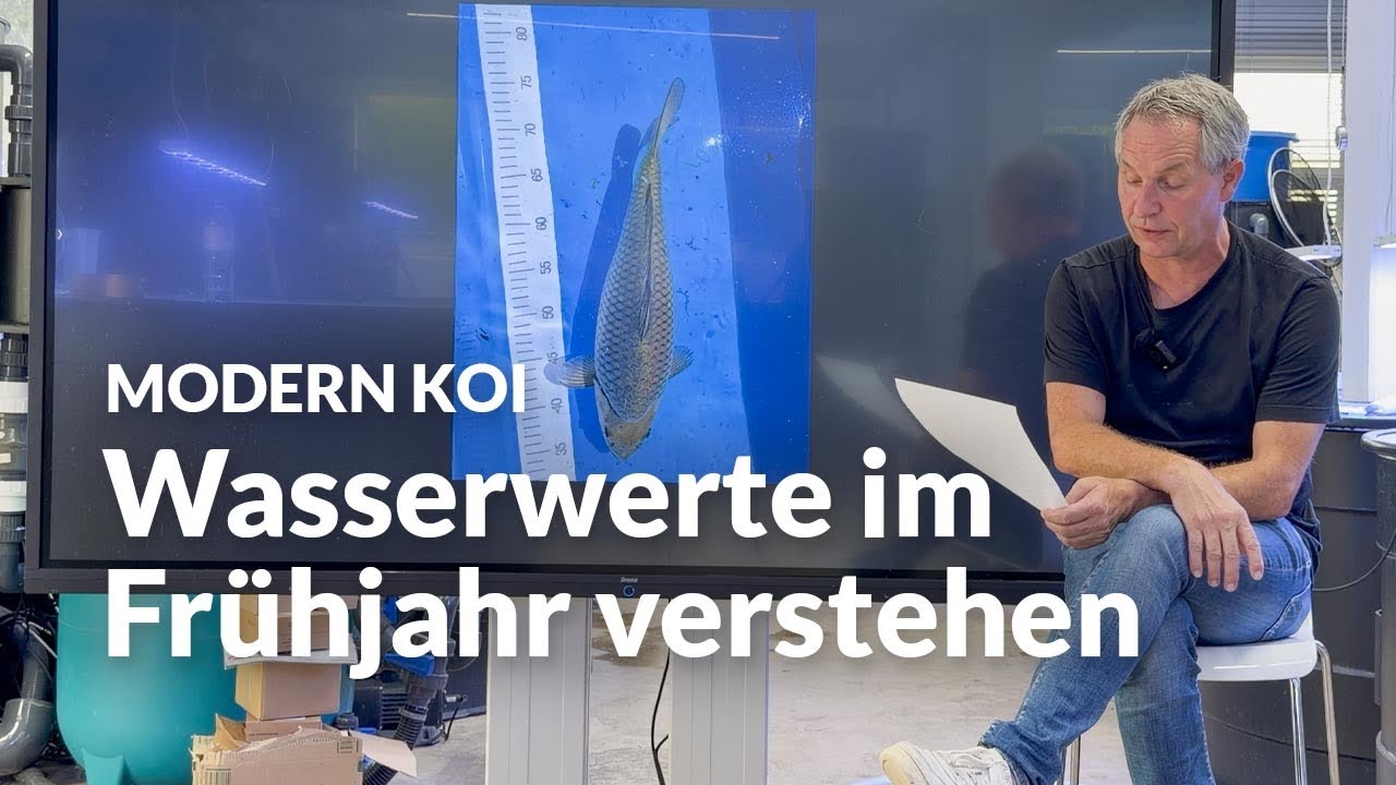 Bin ich in die Frühjahrs-Nitritfalle getappt ? | Modern Koi Blog #8156