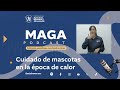 MAGA Podcast - Cuidado de mascotas en la época de calor