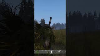 Вот Вам И Донатный Верт #Gaming #Dayz #Dayzstandalone #Дейз #Shorts