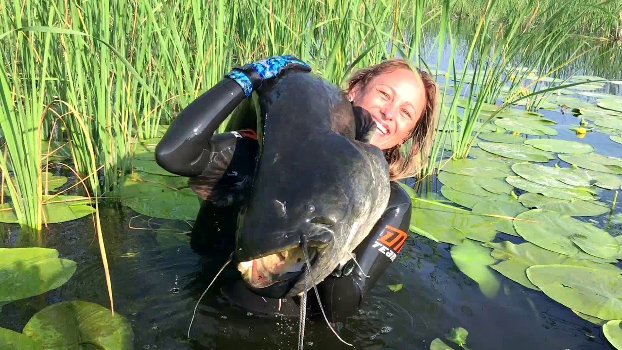 Catfish Spearfishing. Подводная охота. Сом. YouTube