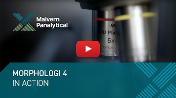 Morphologi 4 in action