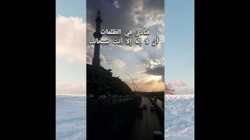 ( وذا النون إذ ذهب مغاضبا ) آية من القرآن الكريم#تلاوة #تلاوة_خاشعة