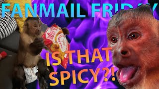 Fanmail Friday 14 - Monkey Eats Spicy Food Content